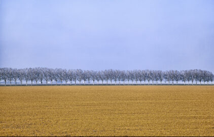 Harvest - Agriculture in Italy