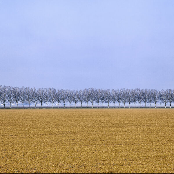 Harvest - Agriculture in Italy