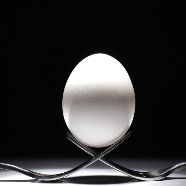 The Egg - Egg on two forks