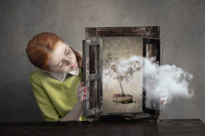 The Girl with the window