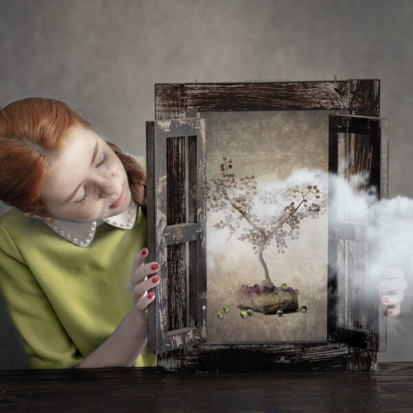 The Girl with the window