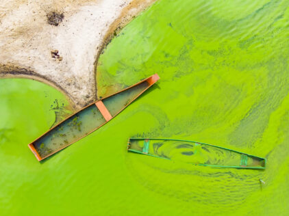 The Green Lake - Lake covered with algae