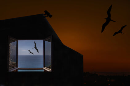 The Window of imagination