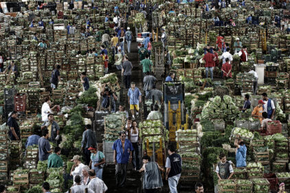 The big market - Ceagesp / Municipal Market of São Paulo - Warehouse for the sale of vegetables and fruits to merchants
