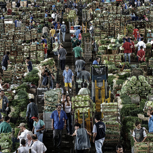 The big market - Ceagesp / Municipal Market of São Paulo - Warehouse for the sale of vegetables and fruits to merchants